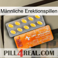Männliche Erektionspillen new05